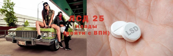 ГАЛЛЮЦИНОГЕННЫЕ ГРИБЫ Арсеньев