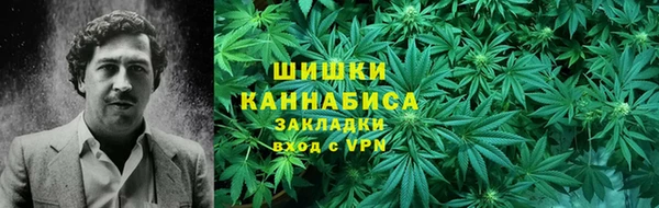 ГАЛЛЮЦИНОГЕННЫЕ ГРИБЫ Арсеньев
