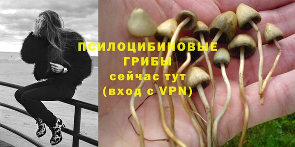 эйфоретик Армянск