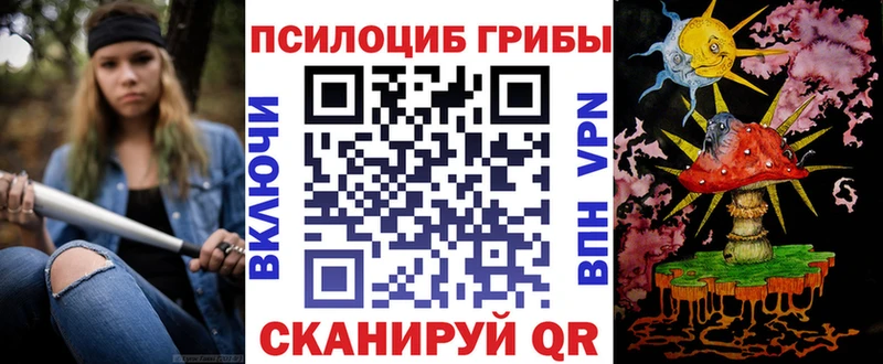 ссылка на мегу как войти  Кашира  Псилоцибиновые грибы Psilocybine cubensis 