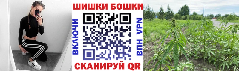 МАРИХУАНА план  Кашира 